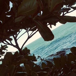 Meet your Posher, Bianca